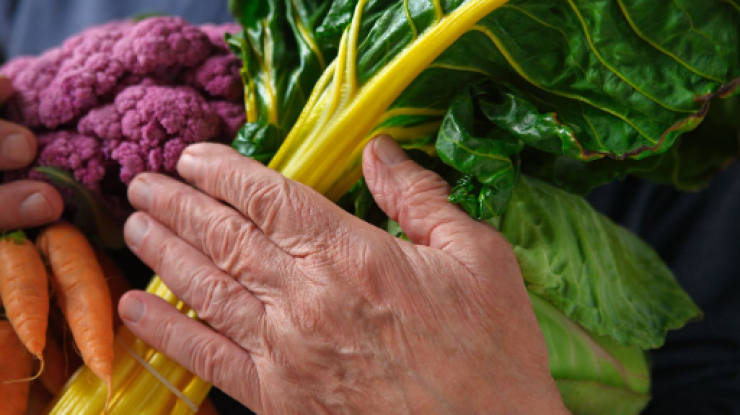 Calidad de vida para la tercera edad